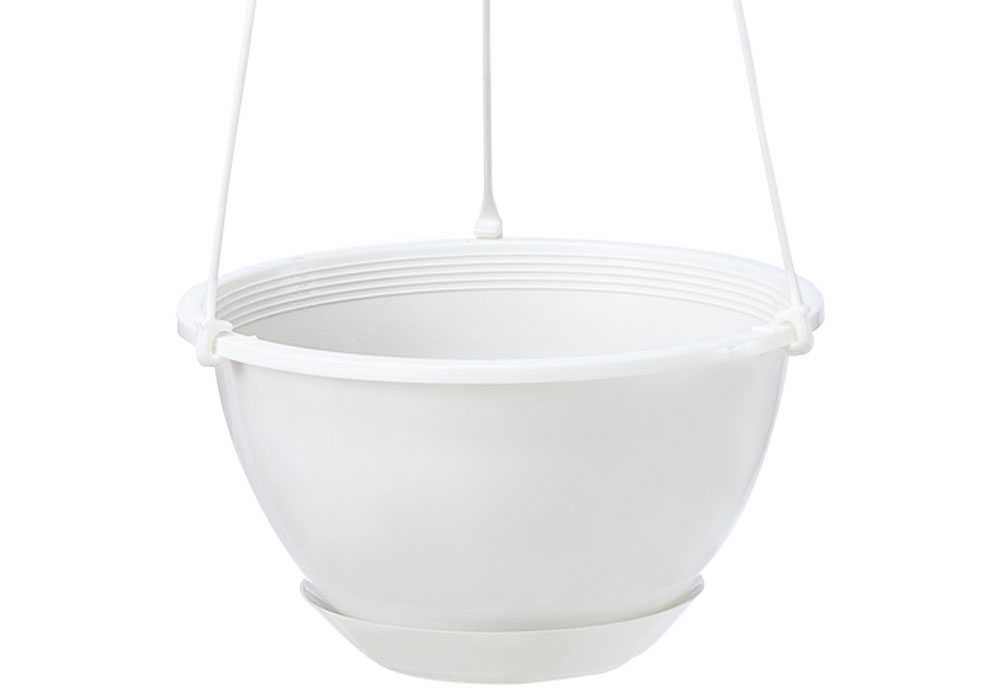 ロイヤルポット